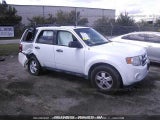 2012 FORD ESCAPE XLT