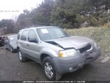 2001 FORD ESCAPE XLT