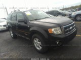 2008 FORD ESCAPE XLT