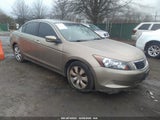 2008 HONDA ACCORD EXL