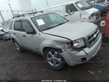 2008 FORD ESCAPE XLT