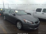 2009 HONDA ACCORD EXL