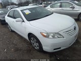 2008 TOYOTA CAMRY CE/LE/XLE/SE