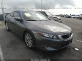 2009 HONDA ACCORD EXL