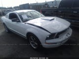 2005 FORD MUSTANG 