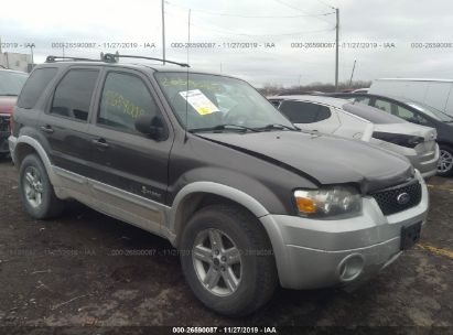 2006 Ford Escape 26590087 Iaa Insurance Auto Auctions