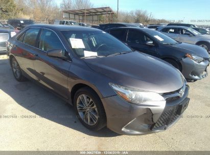 Iaai insurance auctions