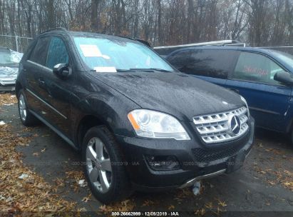 Used Mercedes Benz Ml For Sale Salvage Auction Online Iaa