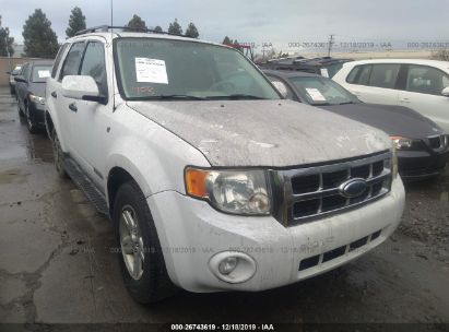 2008 Ford Escape 26743619 Iaa Insurance Auto Auctions