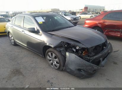 2008 Honda Accord Exl For Auction Iaa