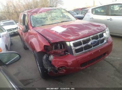 2010 Ford Escape Xlt For Auction Iaa