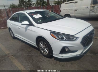 5NPE24AF0KH802404 - 2019 Hyundai Sonata Eco Turbo, Se - #undefined