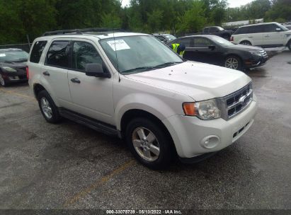 Lot #3028042473 2010 FORD ESCAPE XLT