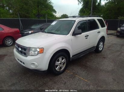 Lot #3028042473 2010 FORD ESCAPE XLT