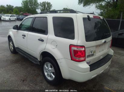 Lot #3028042473 2010 FORD ESCAPE XLT