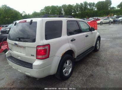 Lot #3028042473 2010 FORD ESCAPE XLT