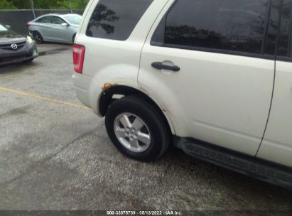 Lot #3028042473 2010 FORD ESCAPE XLT