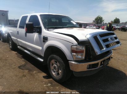 Lot #3056063234 2010 FORD F-250 XLT/LARIAT/KING RANCH/CABELA'S/XL