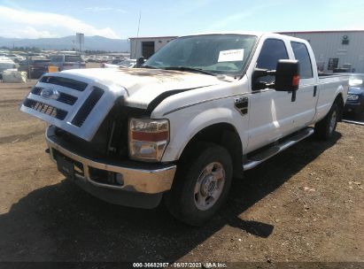 Lot #3056063234 2010 FORD F-250 XLT/LARIAT/KING RANCH/CABELA'S/XL