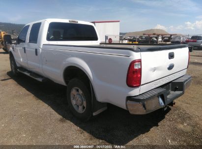 Lot #3056063234 2010 FORD F-250 XLT/LARIAT/KING RANCH/CABELA'S/XL