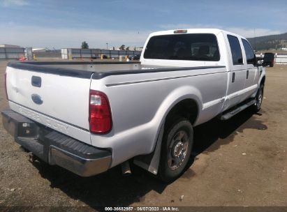 Lot #3056063234 2010 FORD F-250 XLT/LARIAT/KING RANCH/CABELA'S/XL