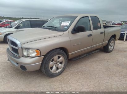 Lot #3035088680 2002 DODGE RAM 1500 SLT