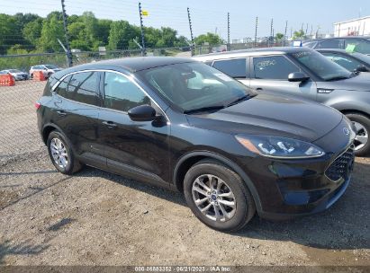 Lot #3035088675 2021 FORD ESCAPE SE