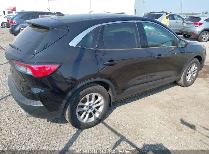 Lot #3035088675 2021 FORD ESCAPE SE