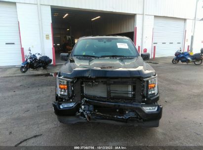 Lot #3052080309 2023 FORD F-150 XLT