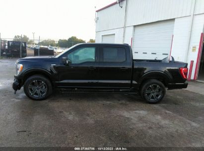 Lot #3052080309 2023 FORD F-150 XLT