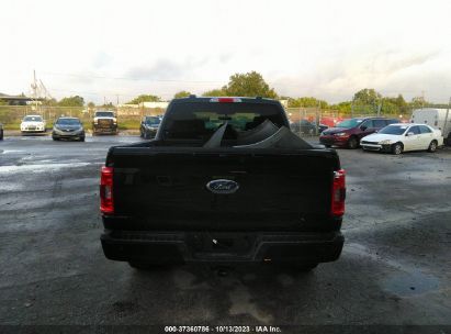 Lot #3052080309 2023 FORD F-150 XLT