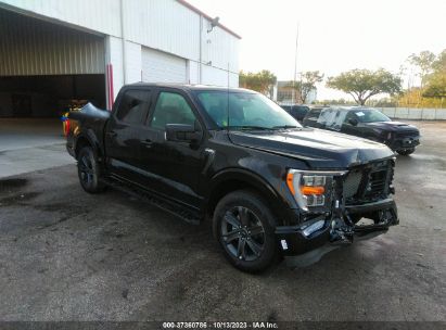 Lot #3052080309 2023 FORD F-150 XLT