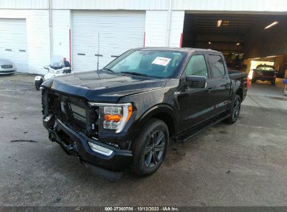 Lot #3052080309 2023 FORD F-150 XLT