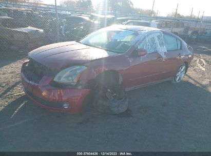 Lot #3035088657 2004 NISSAN MAXIMA SL