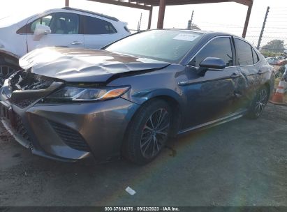 Lot #2992835324 2019 TOYOTA CAMRY HYBRID SE