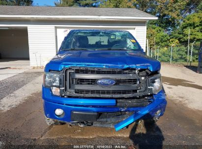 Lot #3054286429 2014 FORD F-150 FX4