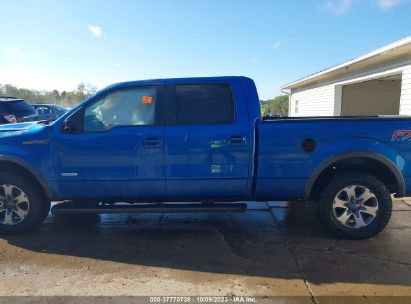 Lot #3054286429 2014 FORD F-150 FX4