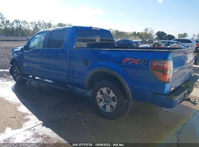 Lot #3054286429 2014 FORD F-150 FX4