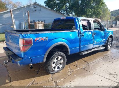 Lot #3054286429 2014 FORD F-150 FX4