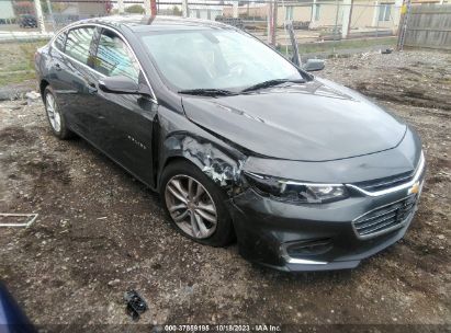 Lot #3035080555 2018 CHEVROLET MALIBU LT