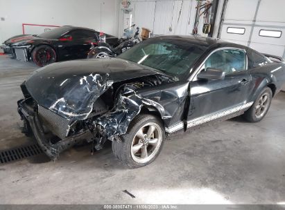 Lot #3042560774 2006 FORD MUSTANG V6