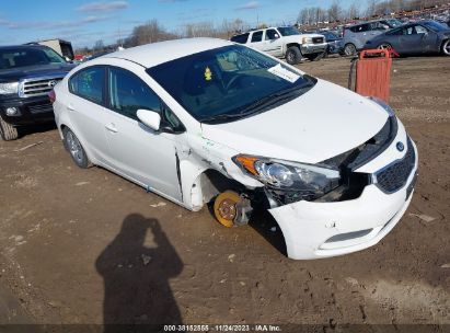 Lot #3035079154 2016 KIA FORTE LX