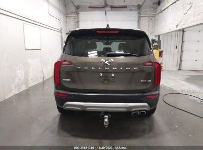 Lot #2992820919 2020 KIA TELLURIDE EX