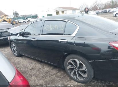 Lot #2997780492 2016 HONDA ACCORD EX-L V-6