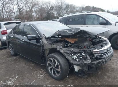 Lot #2997780492 2016 HONDA ACCORD EX-L V-6