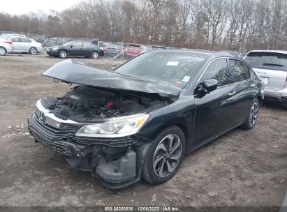 Lot #2997780492 2016 HONDA ACCORD EX-L V-6