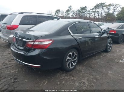 Lot #2997780492 2016 HONDA ACCORD EX-L V-6