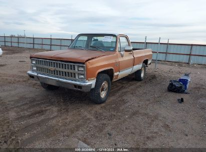 Lot #2992831904 1981 CHEVROLET K20