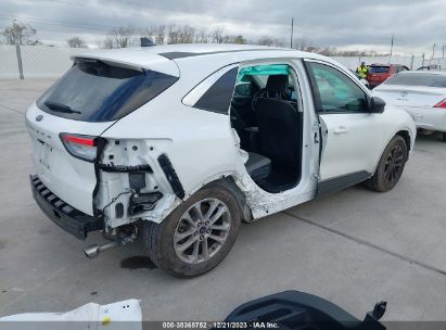 Lot #2992820085 2022 FORD ESCAPE SE