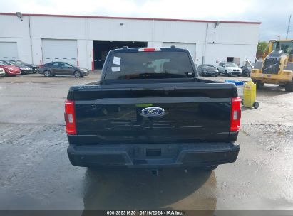 Lot #3047411823 2023 FORD F-150 XLT